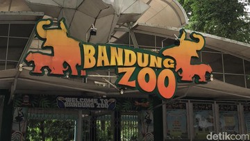 Keputusan Mengejutkan: Bandung Zoo Tutup Sementara Selama Libur Lebaran 2026