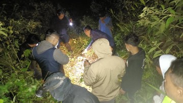 Misteri di Hutan Garut Terkuak: Kerangka Manusia Ditemukan Saat Warga Melakukan Tradisi Sore Hari