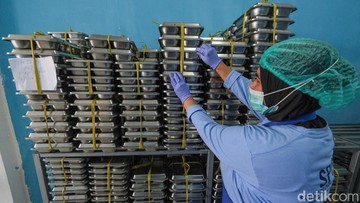 Audit Kualitas Gizi: Badan Gizi Nasional Hentikan Sementara Operasional 1.030 Dapur Program Makan Bergizi Gratis
