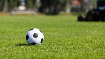 Foto: Getty Images/iStockphoto/Bigandt_Photography