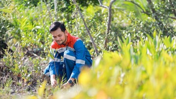 Kisah Inspiratif Tiga Desa: Transformasi Ekologis Pertamina dari Abu Vulkanik hingga Ekowisata Pesisir