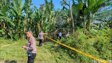 Update Insiden Ledakan Petasan di Pekalongan: Satu Korban Meninggal Dunia dan Dua Luka-Luka