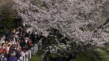 Wisatawan di Jepang. (AP/Shuji Kajiyama)