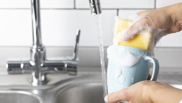 Kontaminasi bakteri di alat rumah tangga bisa memicu infeksi. Foto: Getty Images/solidcolours