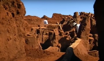 Foto: Screenshot YouTube wocomoWILDLIFE