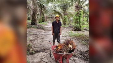 Strategi Hilirisasi CPO Dorong Kemandirian Energi dan Penguatan Ekonomi Nasional