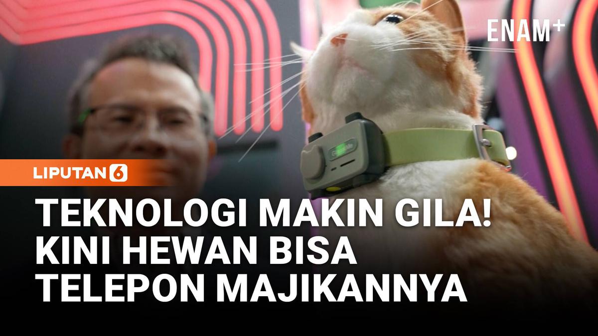 Revolusi Komunikasi Hewan Peliharaan: PetPhone, Jembatan Suara Antara Manusia dan Sahabat Berbulu