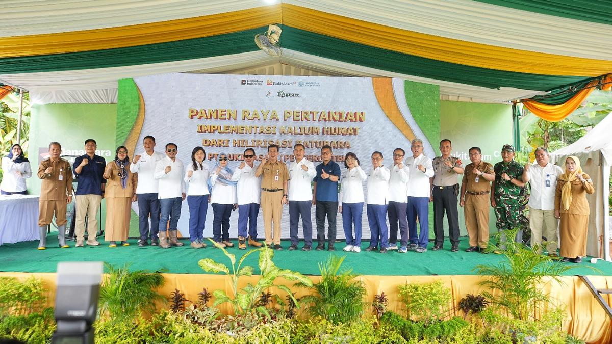 Kalium Humat: Inovasi PTBA Dongkrak Produktivitas Pertanian dan Ketahanan Pangan di Muara Enim