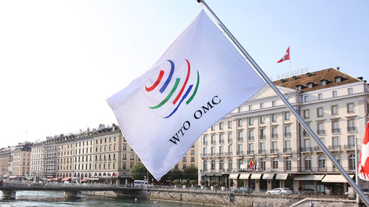 Indonesia Tempuh Jalur WTO: Ancam Penangguhan Konsesi Terhadap Uni Eropa Terkait Sengketa Minyak Sawit