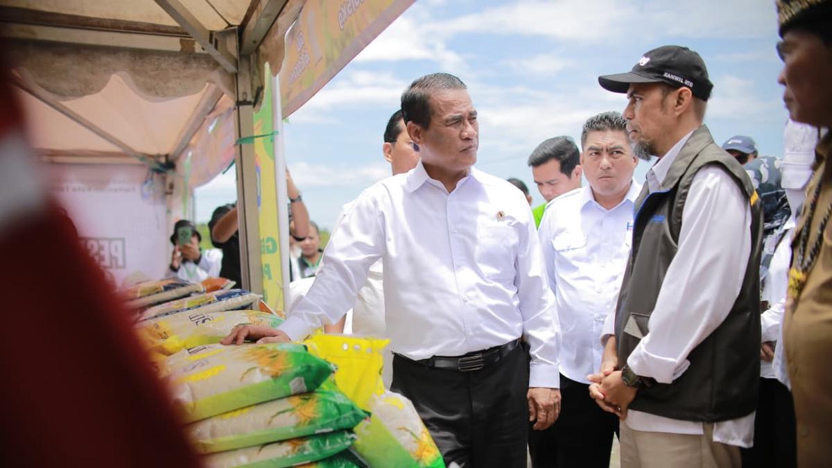 Surplus Beras Nasional: Analisis Mendalam Ketahanan Pangan Indonesia di Tengah Tantangan Global