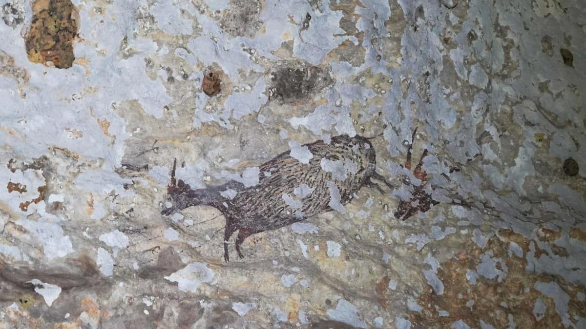 Harmoni Alam dan Warisan Purba: Taman Kehati dan Geopark Bulu Sipong, Benteng Keanekaragaman Hayati dan Arkeologi Sulawesi Selatan