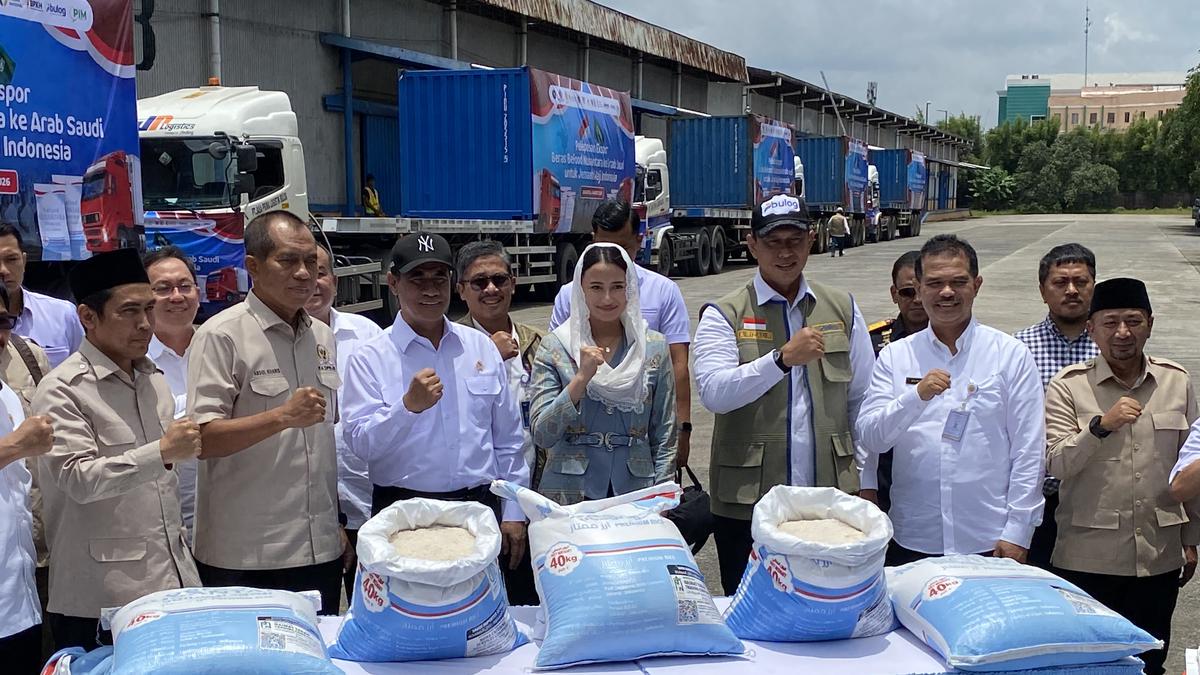 Surplus Beras Melimpah: Indonesia Agresif Bidik Pasar Ekspor, Saudi Arabia Jadi Target Utama