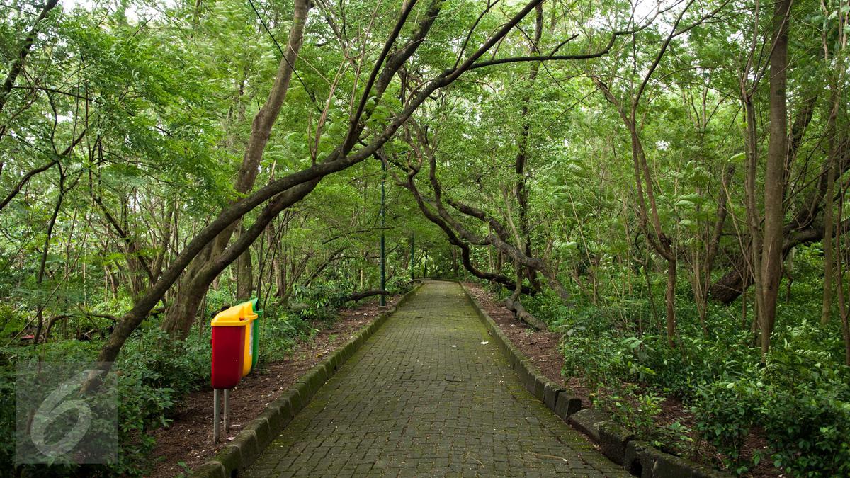 Satpol PP DKI Jakarta Perketat Pengawasan Hutan Kota Cawang: Cegah Praktik Asusila dan Jaga Ketertiban Umum